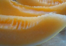 白兰瓜家族添新丁