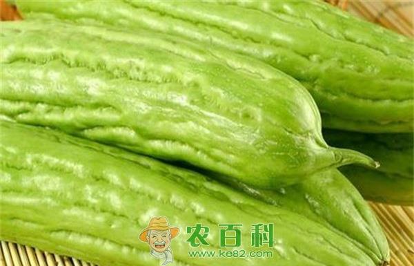 苦瓜有点“甜”