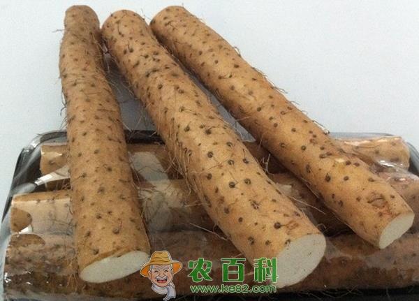 山药的好处 山药的好处
