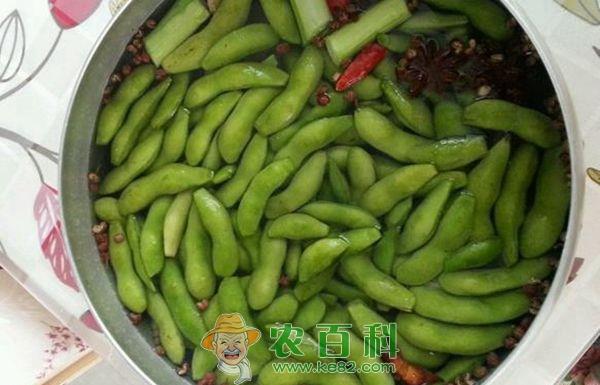 江西上高县万亩田埂毛豆长势喜人