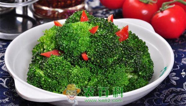 西兰花 西兰花缺素症