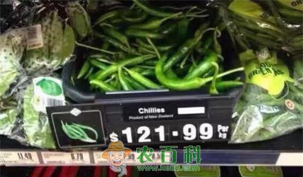 新西兰奥克兰出现天价青椒