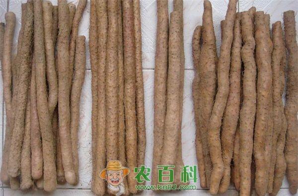 山药 洋参淮山乌鸡汤