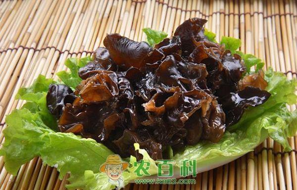 木耳马陆的防治