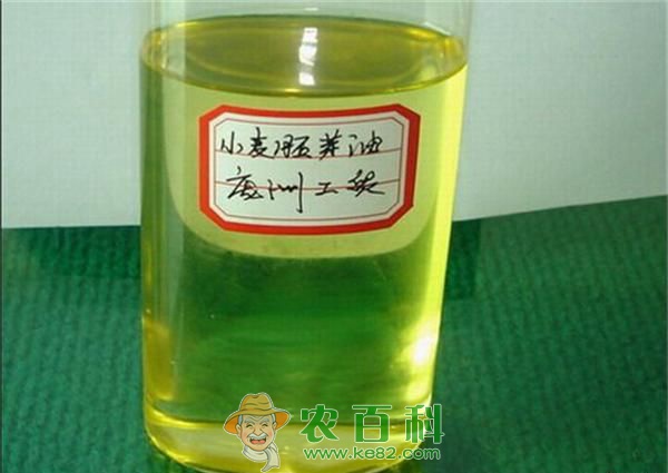 小麦胚芽油