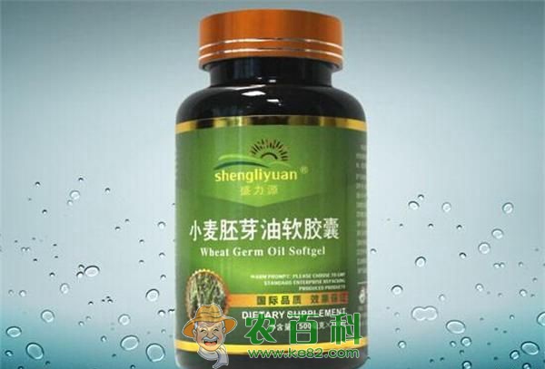 小麦胚芽油