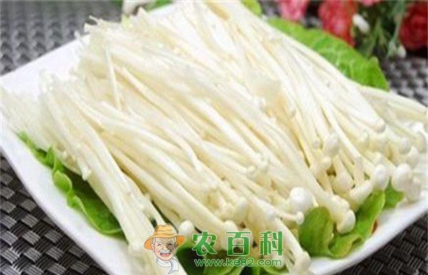 多吃金针菇的好处