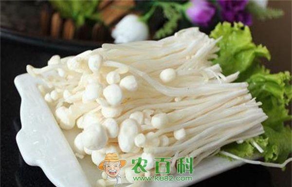多吃金针菇的好处