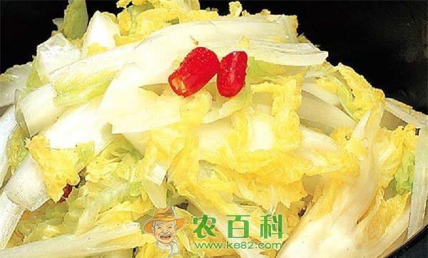 娃娃菜病虫害的防治