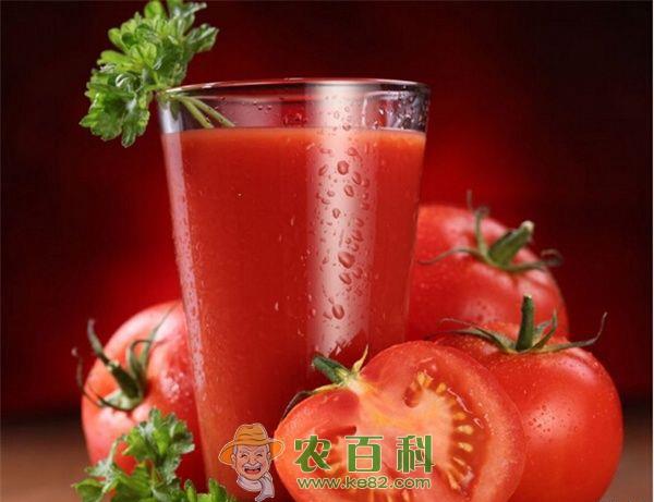 番茄汁的做法和营养价值