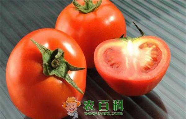 日本开发含牛奶成分的西红柿