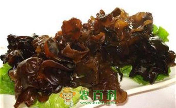 黑木耳的营养价值 黑木耳的营养价值