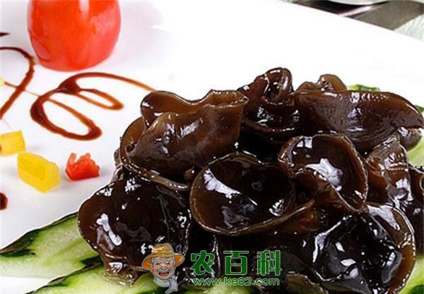 黑木耳的营养价值 黑木耳的营养价值