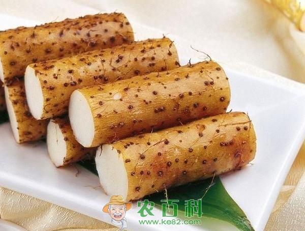 吃山药的好处