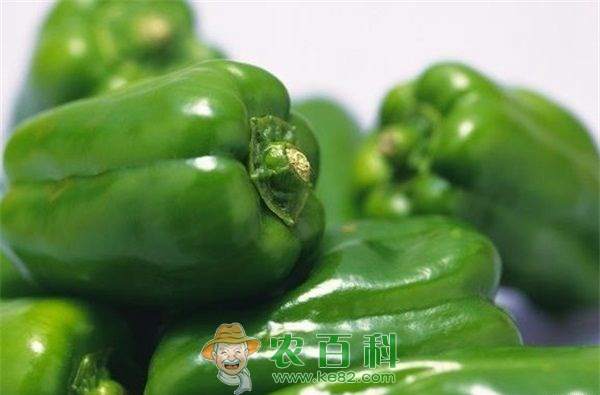 青椒 青椒保鲜五法