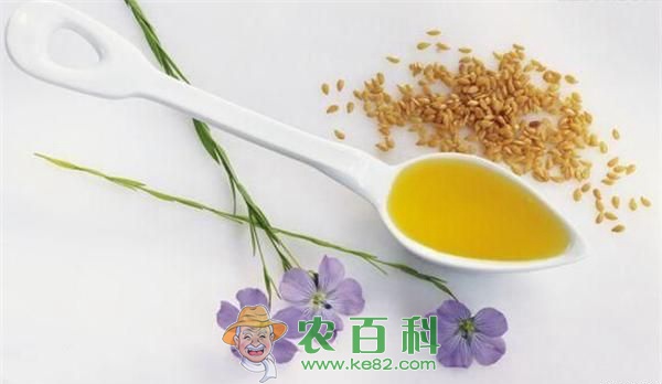 芝麻油介绍