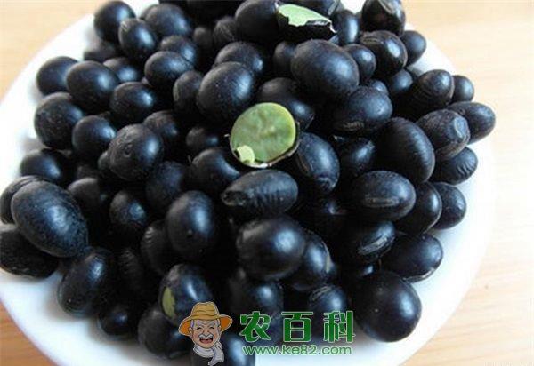 黑豆 黑豆粉制含糖炼乳