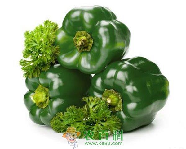 青椒 青椒的加工方法