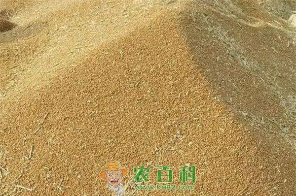 对当前小麦购销市场的深度解析! 土客网网 对当前小麦购销市场的深度解析!