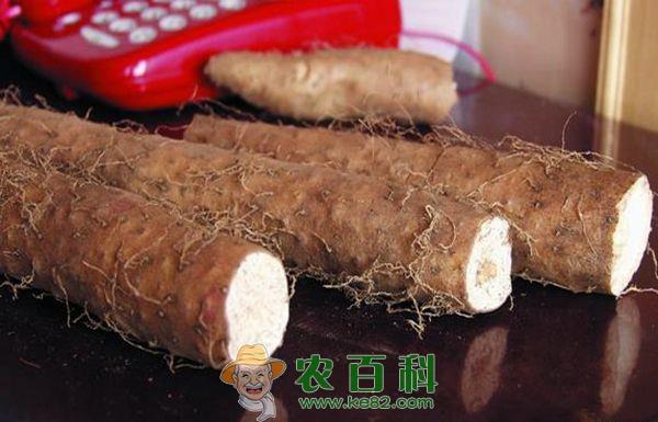 山药 山药木耳炒虾仁 养血补虚