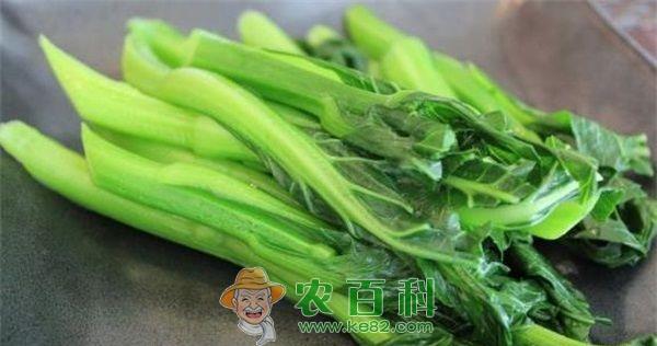 菜心润肠助消化