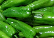 脱水青椒的加工处理