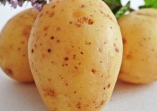 土豆是否真的会令人肥胖? 土豆是否真的会令人肥胖?