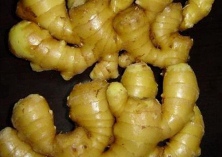 生姜腐烂病的综合防治