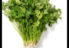 夏种香菜的技巧