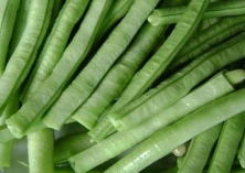 大早半月”豆角的栽培技术