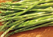 大蒜根蛆的综合防治技术