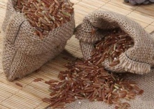 红米水稻重现古丈