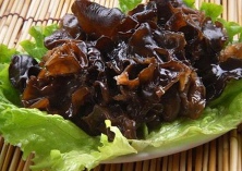 木耳病防治（木耳马陆的防治方法）