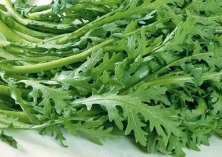 茼蒿和什么搭配最好