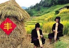 湘西加大力度研究红米水稻