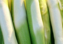 茭白病害防治方法