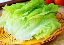 生菜冬季栽培技术 生菜冬季栽培技术