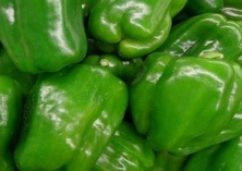 有机青椒的保鲜与贮藏技术 有机青椒的保鲜与贮藏技术