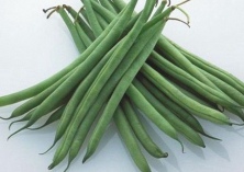 建筑工地食堂禁用四季豆等食材