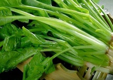 吃菠菜能补铁吗 吃菠菜能补铁吗