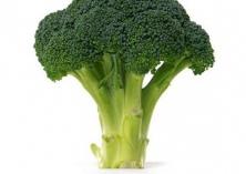 蔓陀绿西兰花――西兰花种子