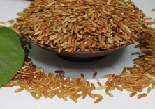 哈尼梯田红米生态稻种山泉灌溉