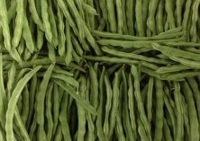 你知道豆角应先洗再择吗？