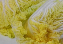 娃娃菜软腐病的防治方法