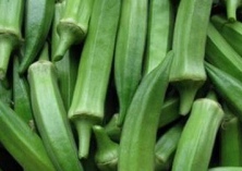 福建南安黄秋葵价格大跌变“平民菜”