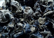 促进黑木耳种植效益提高