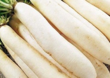 白萝卜该怎样储藏管理