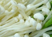 金针菇“六改”可高产