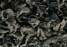 地栽黑木耳七字诀