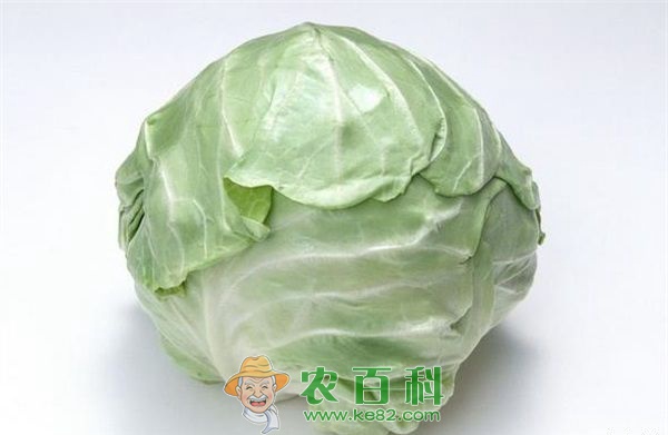 开胃的家常菜---爆炒绿甘蓝